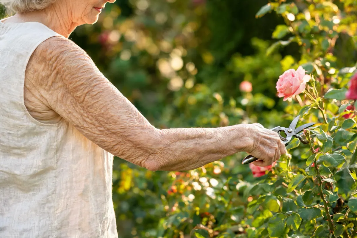 Older woman's arm in a sunny garden showing fine crepey skin texture